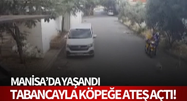 Bilye atan havalı tabancayla köpeğe ateş açtı