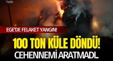 Ege'de felaket yangın, 100 ton küle döndü! Cehennemi aratmadı..