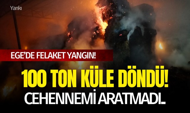 Ege'de felaket yangın, 100 ton küle döndü! Cehennemi aratmadı..