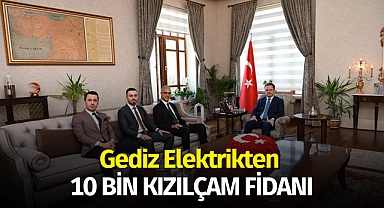 Gediz Elektrikten 10 bin kızılçam fidanı