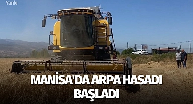 Manisa'da arpa hasadı başladı