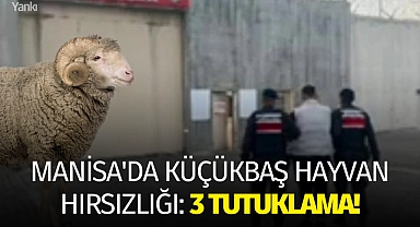 Manisa'da küçükbaş hayvan hırsızlığı: 3 tutuklama