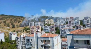 Aliağa'da orman yangını