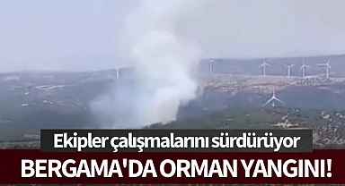 Bergama'da orman yangını