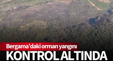 Bergama'daki orman yangını kontrol altında