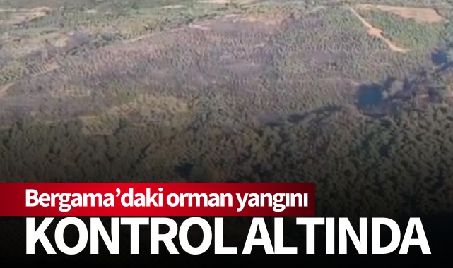 Bergama'daki orman yangını kontrol altında