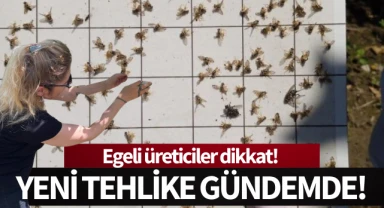 Egeli üreticiler dikkat: Yeni tehlike gündemde!