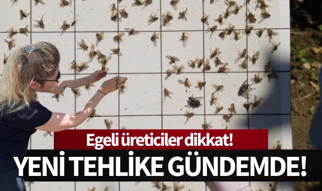 Egeli üreticiler dikkat: Yeni tehlike gündemde!