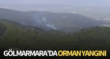 Gölmarmara'da orman yangını!