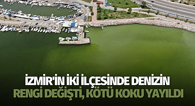 İzmir'in iki ilçesinde denizin rengi değişti, kötü koku yayıldı