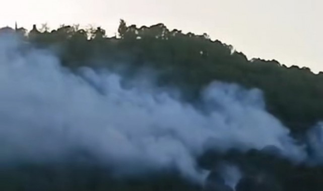 İzmir'de ormanlık alanda çıkan yangın kontrol altında