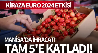 Kiraza Euro 2024 etkisi: Manisa'da ihracatı 5'e katladı!