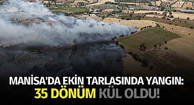 Manisa'da ekin tarlasında yangın: 35 dönüm kül oldu!