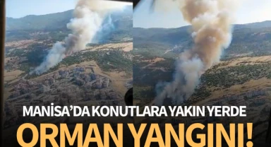 Manisa'da konutlara yakın yerde orman yangını!