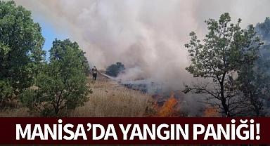 Manisa'da yangın paniği!