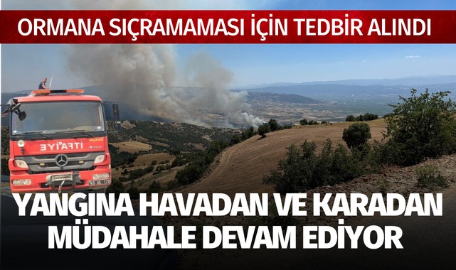 Manisa'daki yangına havadan ve karadan müdahale devam ediyor