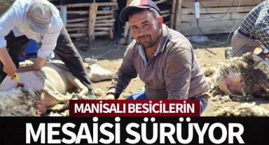 Manisalı besicilerin mesaisi sürüyor