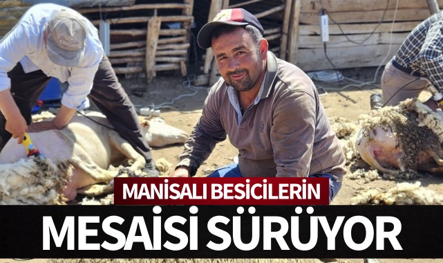 Manisalı besicilerin mesaisi sürüyor