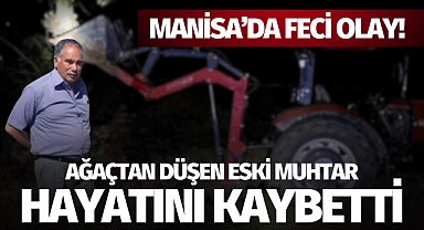 Ağaçtan düşen eski muhtar hayatını kaybetti