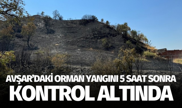 Avşar'daki orman yangını 5 saat sonra kontrol altında