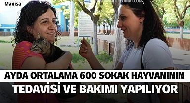 Ayda ortalama 600 sokak hayvanının tedavisi ve bakımı yapılıyor