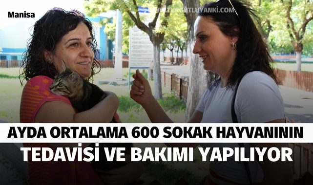 Ayda ortalama 600 sokak hayvanının tedavisi ve bakımı yapılıyor