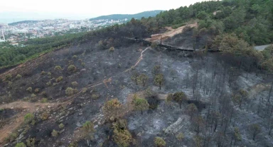 Aydos'ta yanan ormanlık alanın son hali havadan görüntülendi