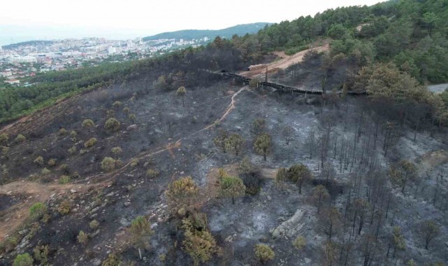 Aydos'ta yanan ormanlık alanın son hali havadan görüntülendi