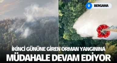 Bergama'da 2'nci Gününe Giren Orman Yangınına Müdahale Sürüyor