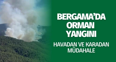 Bergama'daki orman yangına havadan ve karadan müdahale