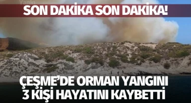 Çeşme ilçesinde ormanlık alanda çıkan yangında 3 kişi öldü