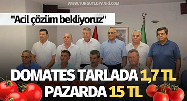 Domates tarlada 1,7 TL pazarda 15 TL