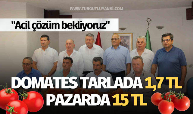 Domates tarlada 1,7 TL pazarda 15 TL