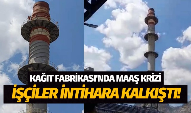 Ege'deki kağıt fabrikasında kriz: İşçiler intihara kalkıştı!