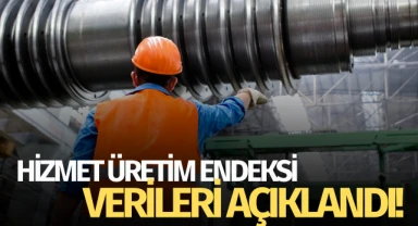 Hizmet Üretim Endeksi verileri açıklandı!