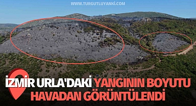 İzmir Urla'daki yangının boyutu havadan görüntülendi