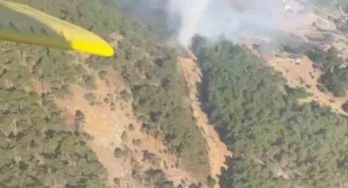 İzmir'deki orman yangınına havadan ve karadan müdahale sürüyor