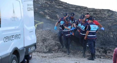 İzmir'deki orman yangınında acı detay!