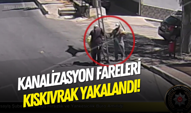 Kanalizasyon fareleri kıskıvrak yakalandı!