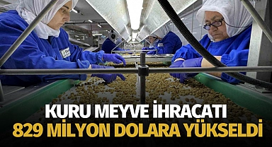 Kuru meyve ihracatı 829 milyon dolara yükseldi