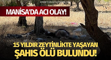 Manisa'da acı olay! 15 yıldır zeytinlikte yaşayan şahıs ölü bulundu!