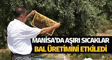 Manisa'da aşırı sıcaklar bal üretimini etkiledi