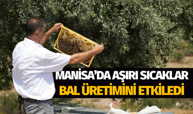 Manisa'da aşırı sıcaklar bal üretimini etkiledi