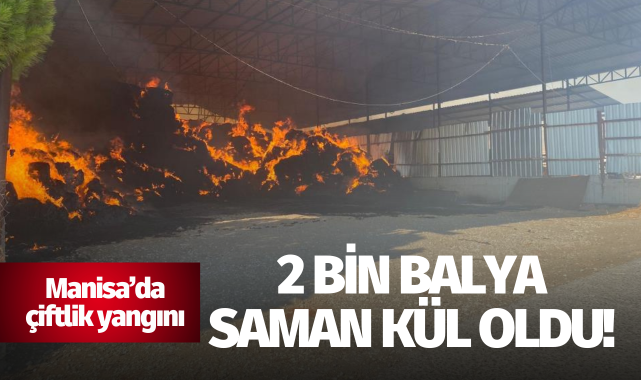 Manisa'da çiftlik yangını: 2 bin balya saman kül oldu