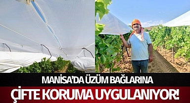 Manisa'da üzüm bağlarına çifte koruma