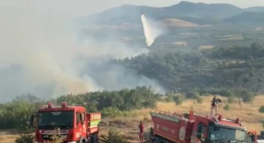 Manisa'da orman yangını kontrol altına alındı