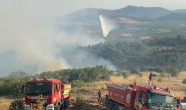 Manisa'da orman yangını kontrol altına alındı