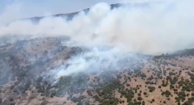 Manisa'daki orman yangını 6 saat sonra kontrol altına alındı