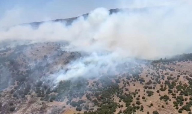 Manisa'daki orman yangını 6 saat sonra kontrol altına alındı