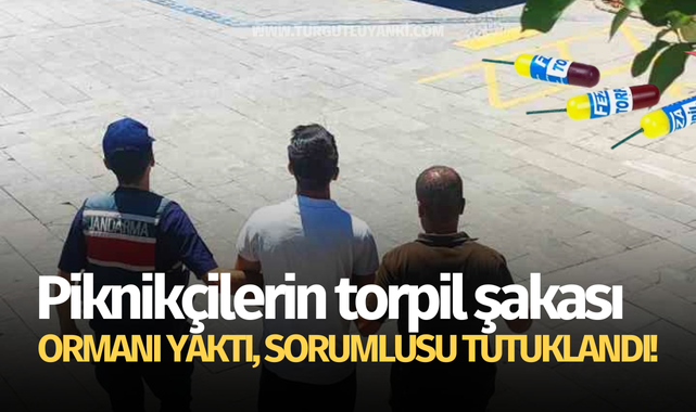 Piknikçilerin torpil şakası ormanı yaktı, sorumlusu tutuklandı